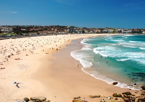 bondi